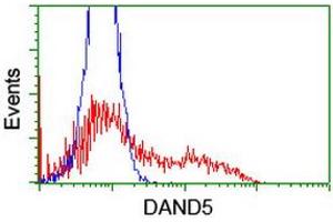 Image no. 2 for anti-DAN Domain Family, Member 5 (DAND5) (AA 23-189) antibody (ABIN1491236) (DAND5 anticorps  (AA 23-189))
