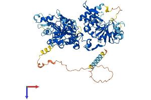 AlphaFold protein structure predicition of Human Recombinant EXT1 Protein, UniprotID Q16394