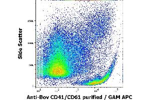 Flow cytometry surface staining pattern of bovine peripheral whole blood stained using anti-bovine CD41/CD61 (IVA30) purified antibody (concentration in sample 3 μg/mL, GAM APC).