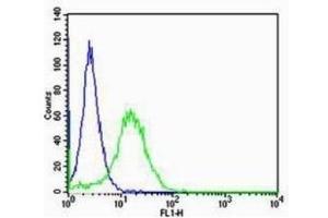 NIH/3T3 cells probed with Rabbit Anti-RAGE Polyclonal Antibody  Alexa Fluor 488 Conjugated Secondary Antibody.