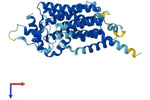 Glucose-6-Phosphatase, Catalytic, 2 (G6PC2) (AA 1-355) protein (His tag)