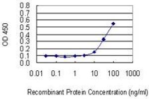 Detection limit for recombinant GST tagged EIF2D is 3 ng/ml as a capture antibody. (EIF2D anticorps  (AA 485-584))