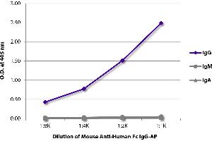 ELISA plate was coated with purified human IgG, IgM, and IgA. (Souris anti-Humain IgG (Fc Region) Anticorps (Alkaline Phosphatase (AP)))