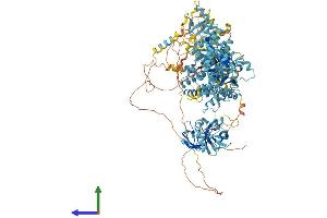 AlphaFold protein structure predicition of Human Recombinant PEX1 Protein, UniprotID O43933