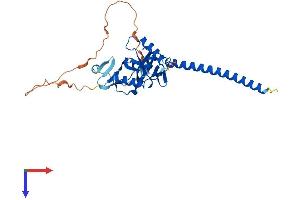 AlphaFold protein structure predicition of Human Recombinant RASSF2 Protein, UniprotID P50749