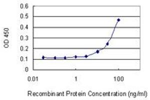 Detection limit for recombinant GST tagged FMN1 is 3 ng/ml as a capture antibody. (FMN1 anticorps  (AA 1-109))