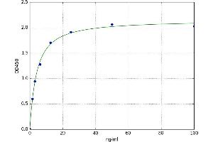 Serpin Family H Member 1 (SERPINH1) ELISA Kit