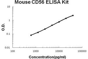 Mouse CD56/NCAM1 PicoKine ELISA Kit standard curve (CD56 Kit ELISA)