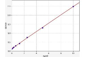 Complement Fragment C1q (C1q) ELISA Kit
