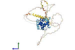 AlphaFold protein structure predicition of Mouse Recombinant Cables2 Protein, UniprotID Q8K3M5