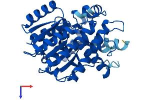 AlphaFold protein structure predicition of Human Recombinant DHRS12 Protein, UniprotID A0PJE2