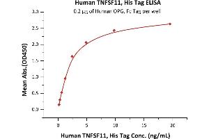 Immobilized Human OPG, Fc Tag (ABIN2181850,ABIN2181849) at 2 μg/mL (100 μL/well) can bind Human TNFSF11, His Tag (active trimer) (ABIN5674645,ABIN6809989) with a linear range of 0.