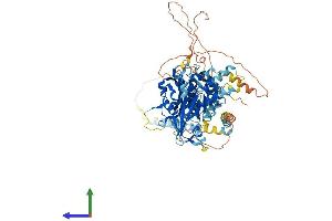 AlphaFold protein structure predicition of Human Recombinant USP44 Protein, UniprotID Q9H0E7