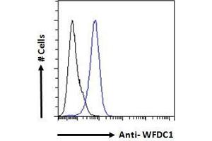 ABIN190885 Flow cytometric analysis of paraformaldehyde fixed A431 cells (blue line), permeabilized with 0. (WFDC1 anticorps  (C-Term))