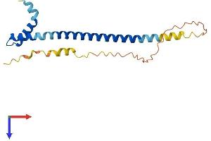 AlphaFold protein structure predicition of Human Recombinant DYDC2 Protein, UniprotID Q96IM9