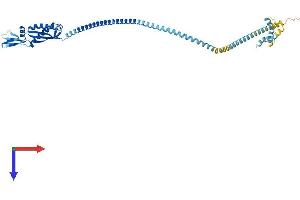 AlphaFold protein structure predicition of Human Recombinant FLOT1 Protein, UniprotID O75955