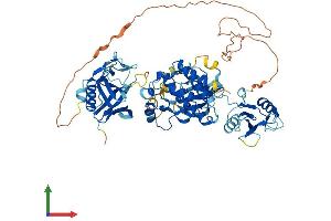 AlphaFold protein structure predicition of Mouse Recombinant Bmx Protein, UniprotID P97504