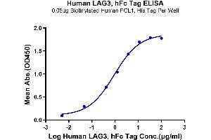 Immobilized Biotinylated Human FGL1, His Tag at 0.