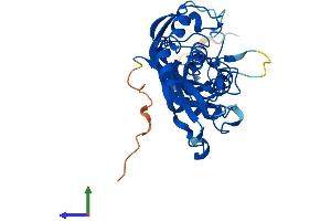 AlphaFold protein structure predicition of Human Recombinant PUSL1 Protein, UniprotID Q8N0Z8