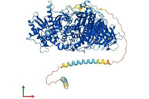 AlphaFold protein structure predicition of Human Recombinant MAN2A1 Protein, UniprotID Q16706
