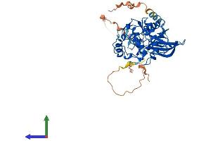 AlphaFold protein structure predicition of Mouse Recombinant Sbk1 Protein, UniprotID Q8QZX0