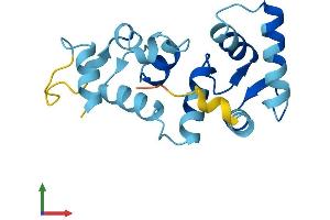 AlphaFold protein structure predicition of Mouse Recombinant Cib3 Protein, UniprotID Q0P523