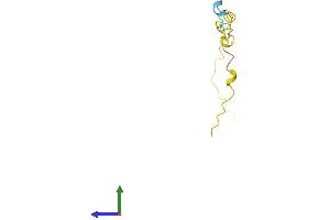 AlphaFold protein structure predicition of Human Recombinant PKIB Protein, UniprotID Q9C010