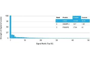 Analysis of Protein Array containing >19,000 full-length human proteins using Chromogranin A Recombinant Mouse Monoclonal Antibody (rCHGA/413) Z- and S- Score: The Z-score represents the strength of a signal that a monoclonal antibody (Monoclonal Antibody) (in combination with a fluorescently-tagged anti-IgG secondary antibody) produces when binding to a particular protein on the HuProtTM array. (Recombinant Chromogranin A anticorps)