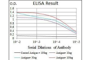 Black line: Control Antigen (100 ng), Purple line: Antigen(10 ng), Blue line: Antigen (50 ng), Red line: Antigen (100 ng), (T Antigen (AA 218-352) anticorps)