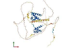 AlphaFold protein structure predicition of Human Recombinant POU3F1 Protein, UniprotID Q03052