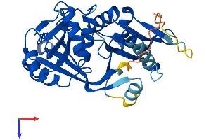 AlphaFold protein structure predicition of Human Recombinant GLYATL2 Protein, UniprotID Q8WU03