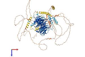 AlphaFold protein structure predicition of Human Recombinant DCAF5 Protein, UniprotID Q96JK2