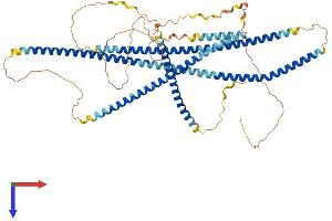 AlphaFold protein structure predicition of Human Recombinant TNIP1 Protein, UniprotID Q15025