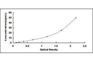 Typical standard curve (TLR5 Kit ELISA)