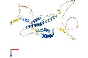 AlphaFold protein structure predicition of Human Recombinant MEIS3 Protein, UniprotID Q99687