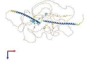AlphaFold protein structure predicition of Mouse Recombinant Rbbp8 Protein, UniprotID Q80YR6