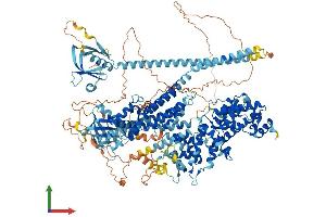 AlphaFold protein structure predicition of Human Recombinant RASGRF1 Protein, UniprotID Q13972