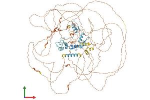 AlphaFold protein structure predicition of Human Recombinant GLI1 Protein, UniprotID P08151