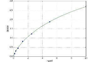 S100 Calcium Binding Protein A10 (S100A10) ELISA Kit