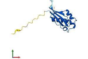 AlphaFold protein structure predicition of Human Recombinant RPL31 Protein, UniprotID P62899