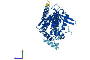 AlphaFold protein structure predicition of Mouse Recombinant Abhd6 Protein, UniprotID Q8R2Y0