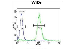 Flow cytometric analysis of WiDr cells (right histogram) compared to a negative control cell (left histogram). (TRKA anticorps)