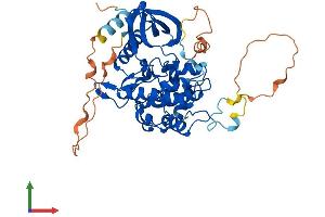AlphaFold protein structure predicition of Mouse Recombinant Strada Protein, UniprotID Q3UUJ4