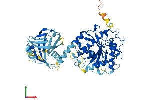 AlphaFold protein structure predicition of Human Recombinant IFI44L Protein, UniprotID Q53G44