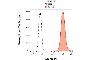 Flow cytometry analysis (surface staining) of HUT-78 and K562 cell lines with anti-human CD70 (Ki-24) PE.
