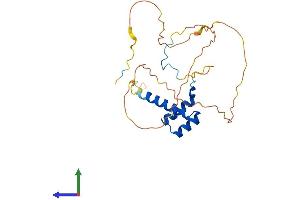 AlphaFold protein structure predicition of Human Recombinant HOXA6 Protein, UniprotID P31267