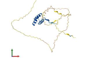 AlphaFold protein structure predicition of Mouse Recombinant Dlx1 Protein, UniprotID Q64317