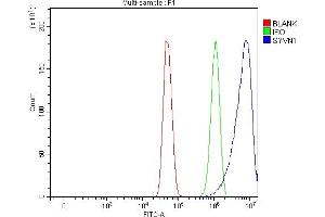 Flow Cytometry analysis of U251 cells using anti-HRD1/SYVN1 antibody (ABIN7602291). (SYVN1 anticorps  (AA 68-604))