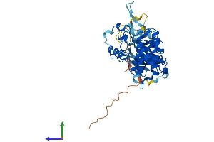 AlphaFold protein structure predicition of Human Recombinant CDK10 Protein, UniprotID Q15131