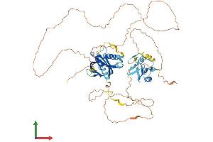 AlphaFold protein structure predicition of Mouse Recombinant Shc4 Protein, UniprotID Q6S5L9